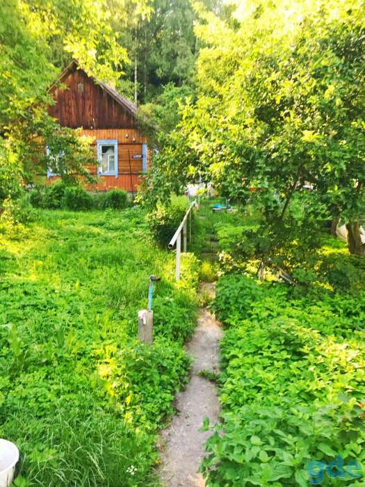 Продам участок в живописном месте с деревянным домом в городе Мозыре, фотография 3