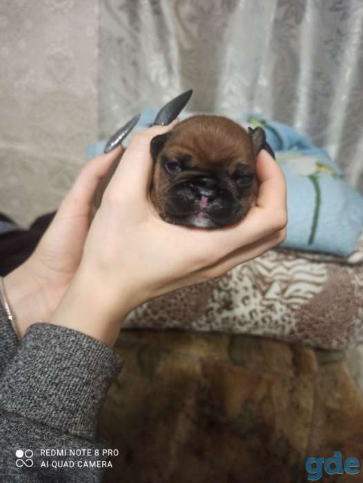 Продажа, фотография 6