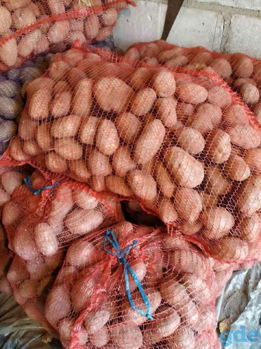 Отличный картофель к Вашему столу! Продам по выгодной цене, фотография 3