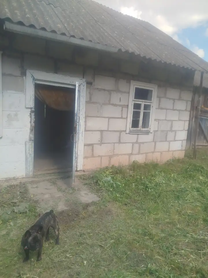 Продажа, Молодечненский район деревня Редьки, фотография 6