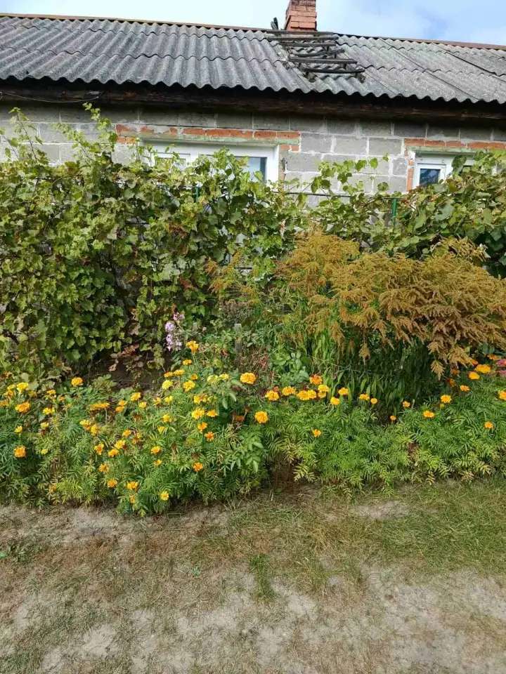 Аренда дома в Лельчицах,, фотография 3