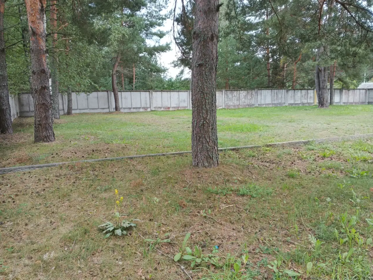 Продам ДВА ДОМА на участке 35 соток  ГАРАЖИ - БОКСЫ  ХОЗПОСТРОЙКИ!, фотография 17