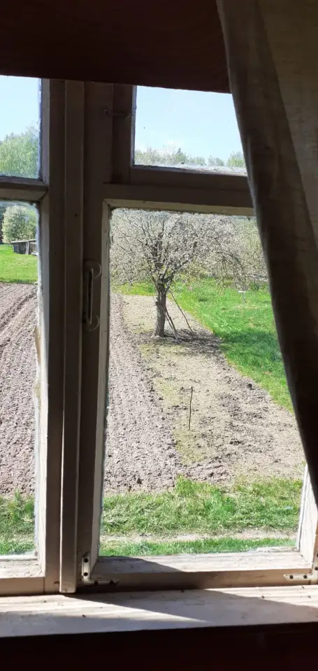 Дача в добрые руки, Ивановская роща, за ж/д путями., фотография 7