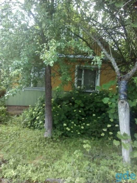 Дача сдаётся, Деревня Петришки Минского района, фотография 1