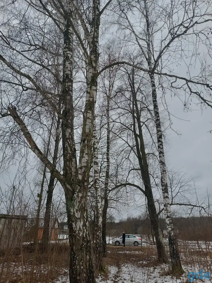 Участок 20 соток под дом., фотография 4