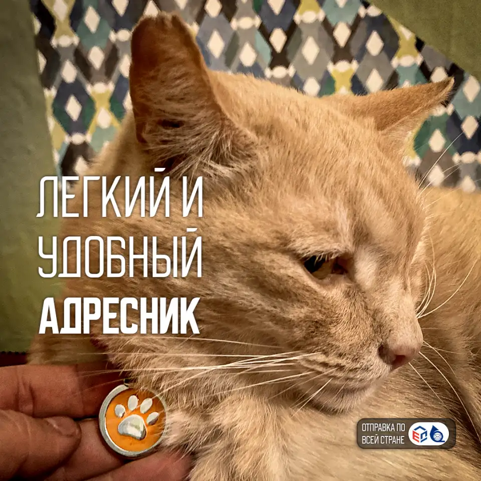 для собачек и кошечек - адресник, фотография 1