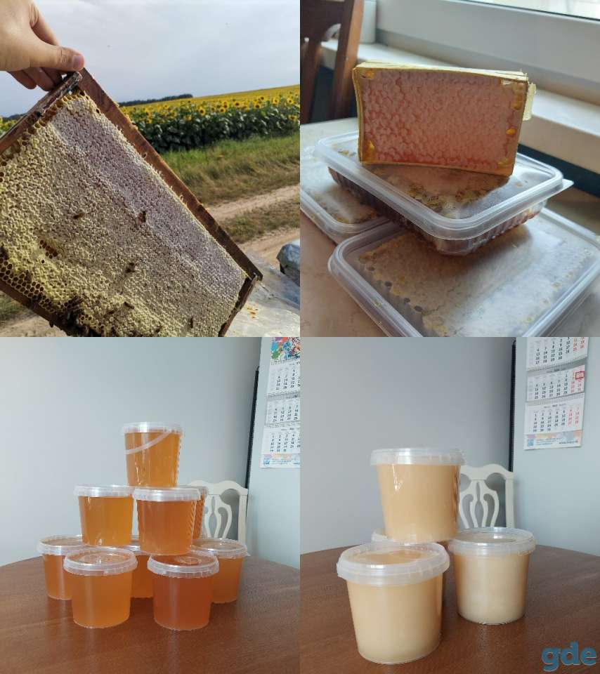 Продаётся мед с личной пасеки., фотография 1
