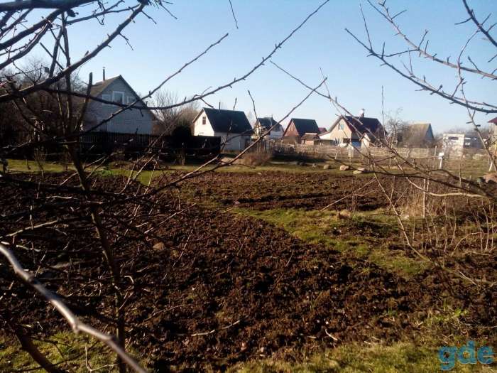 Продам дачный участок(7 соток, колодец), фотография 4