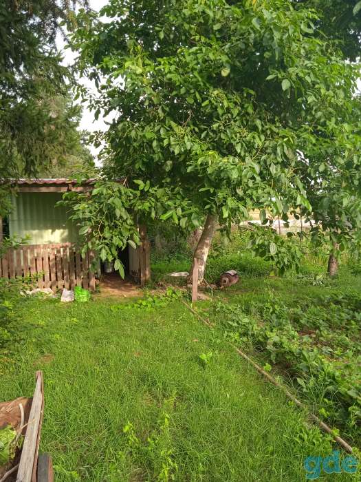 Продам дачный участок, фотография 1