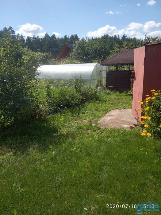 Продам дачу, Летний вечер, фотография 1