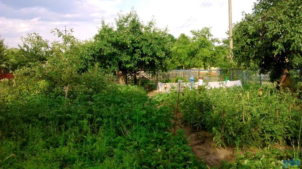ПРОДАМ ДАЧУ ЧЁНКИ СОТ БОРЕЦ, фотография 3