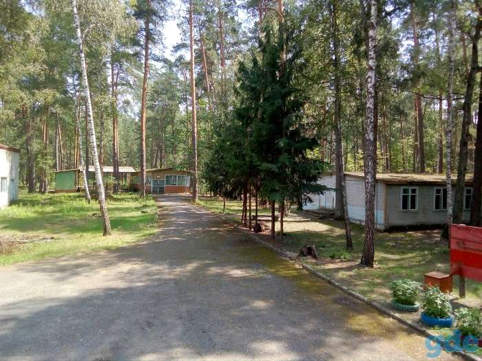 Участок на берегу озера Старик 8,0033 Га, М8 Терюхский сельский Совет район область, фотография 4