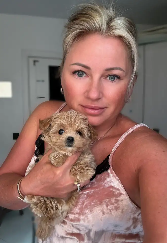 мини мальтипу ф1 девочка и мальчик  maltipoo f1 girl, фотография 15