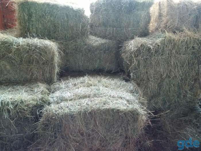 Сено в тюках и мешках, фотография 1