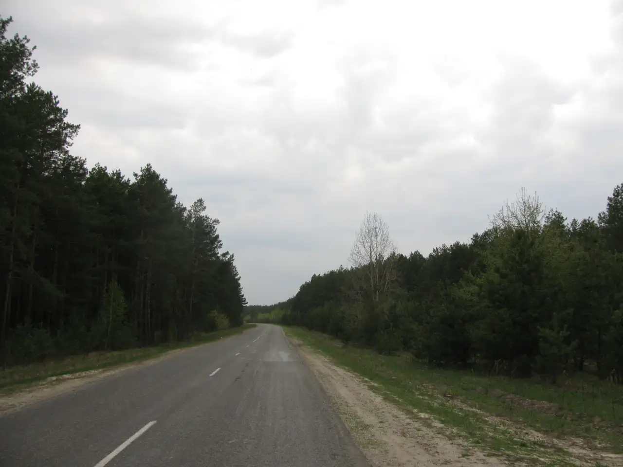 Участок 6.5 сот. Гомельский р-н, д. Чкалова, СТ Глушец, фотография 6
