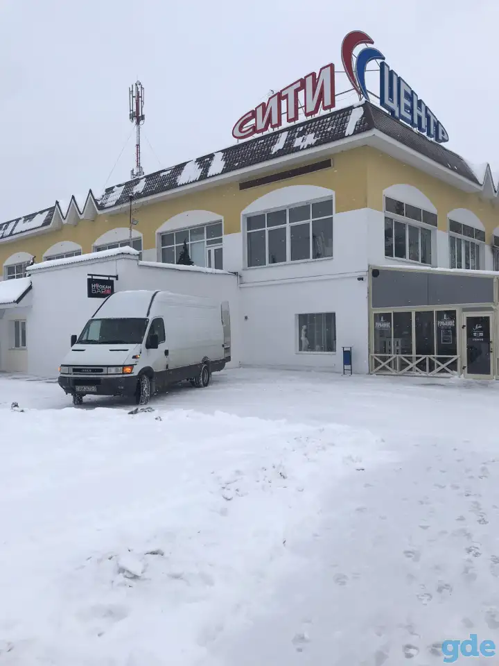 Грузовое такси Мозырь и РБ, фотография 3