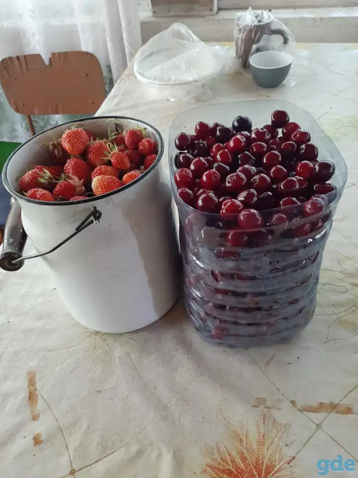 Срочно продам дачу!, фотография 3
