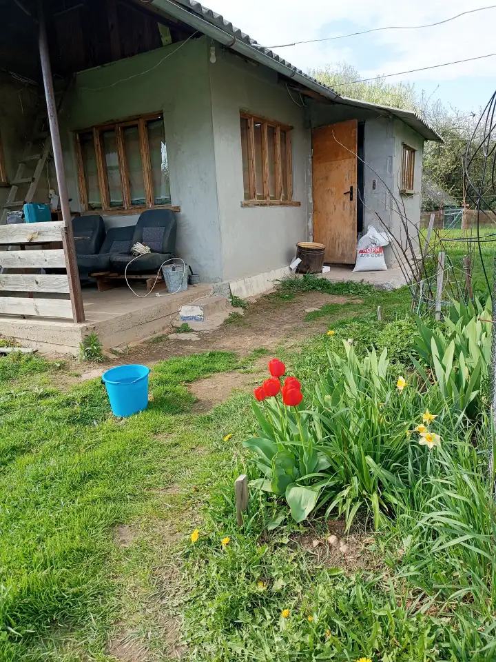 Уютный дом в лесу для души и отдыха. 25 соток уединения, но в деревне с соседями., фотография 1