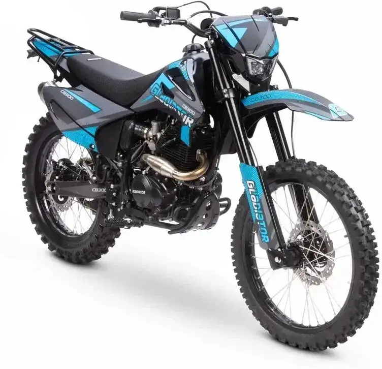 Мотоцикл GLADIATOR C3 CB300, фотография 15