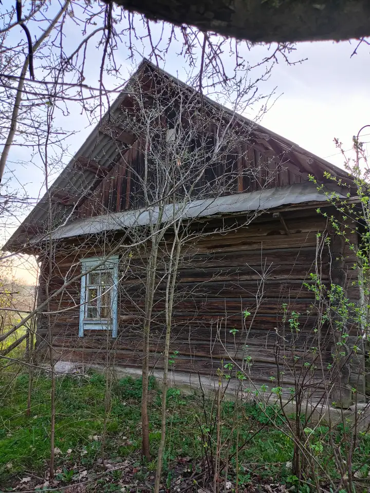 Дом в д. Громницы, фотография 12