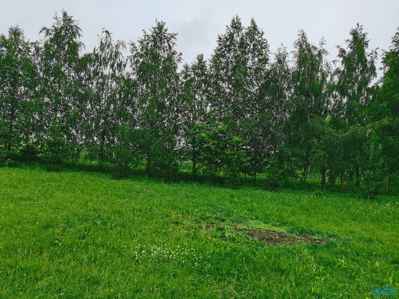 Участок под лпх, Деревня Синило Лугово-слободской с/с, фотография 3