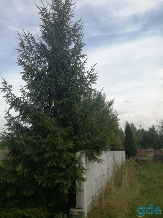 Продается дом у озера, Крупский район, деревня Мелешковичи, фотография 9