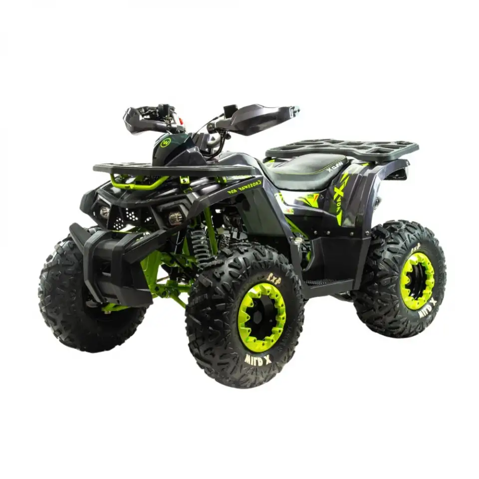 Квадроцикл Motoland Wild X 125cc, фотография 1
