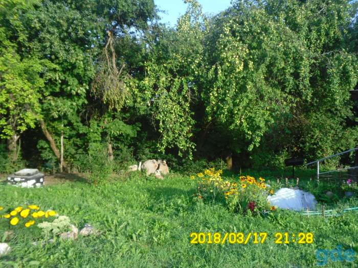 продаю дом, минская обл;молодеченский р-н;д Выдричи д.3, фотография 2
