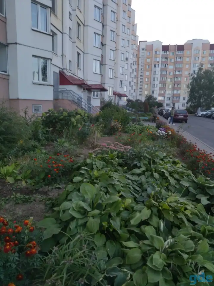 Сдаю 1-комн. квартиру на длительный срок, фотография 11