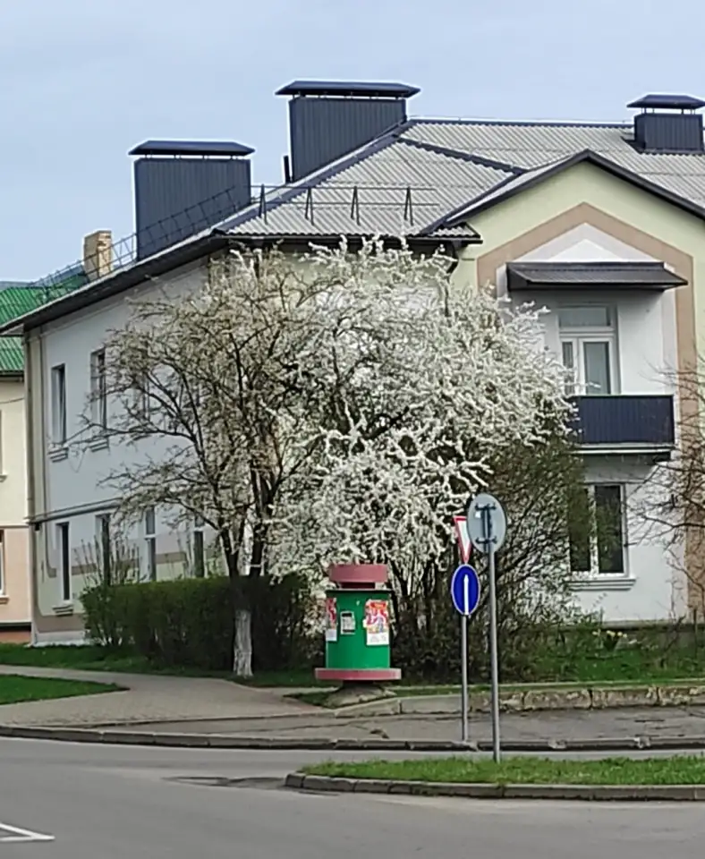 Квартира 3 комнаты, Северный дом 1, фотография 1