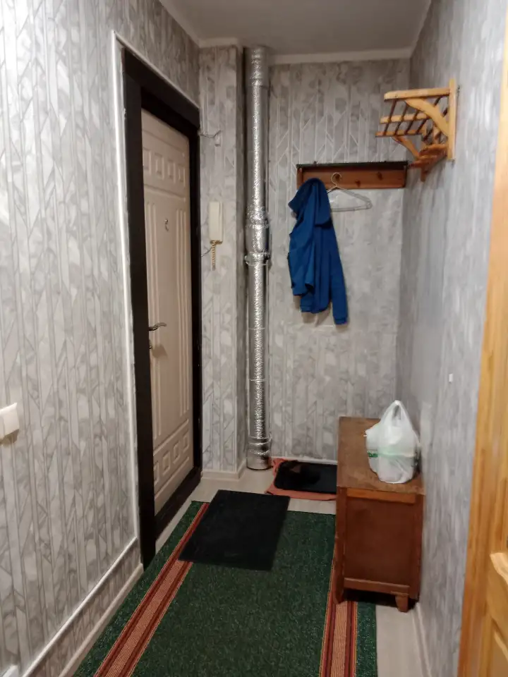 1 - комнатную квартиру сдаю, метро Пушкинская, фотография 1