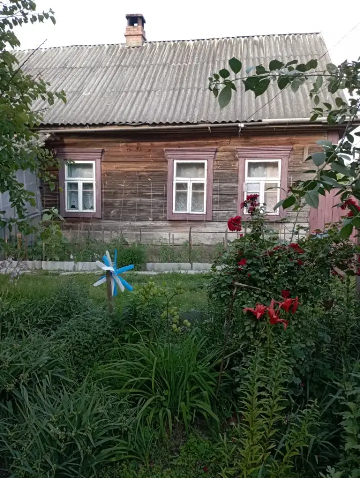 Продажа дома г.Туров, фотография 3