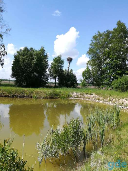 Усадьба в живописном месте, Гродненский район, фотография 6