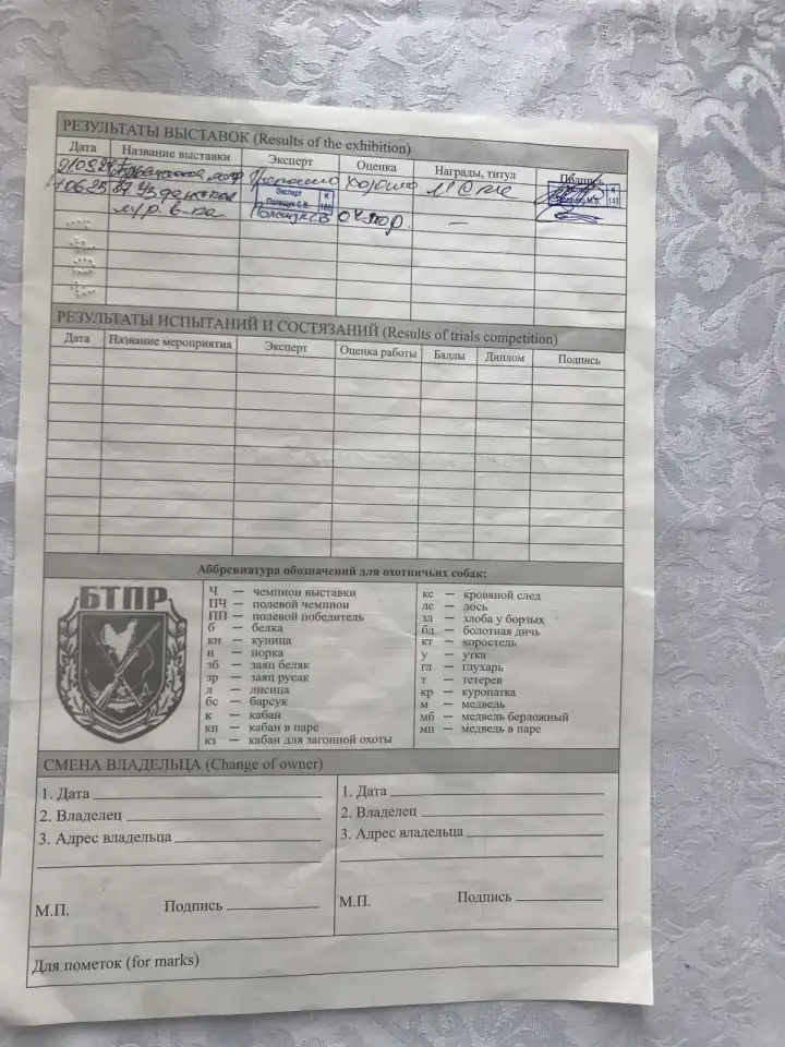 Продажа щенков англо-русской гончей, фотография 5