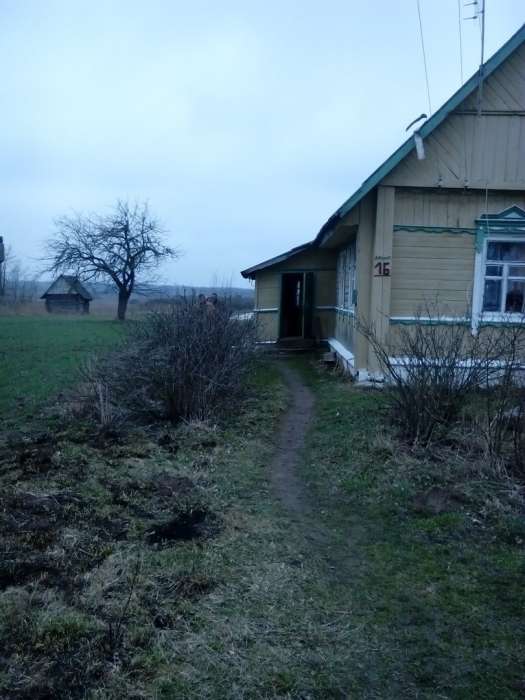 дом в живописном месте, витебская обл. бешенковичский р-н, поселок холм., фотография 6