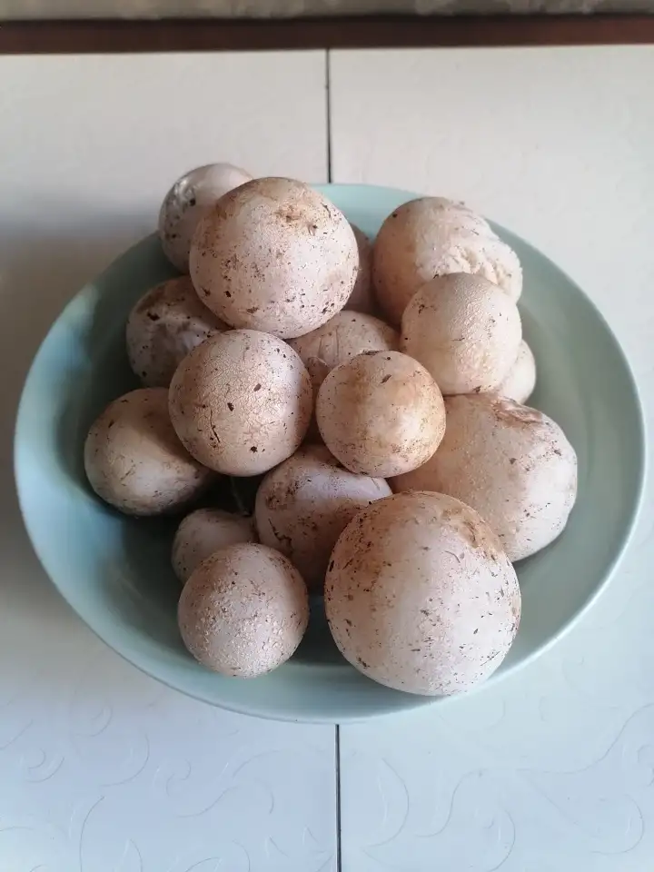 Продукты питания, фотография 1