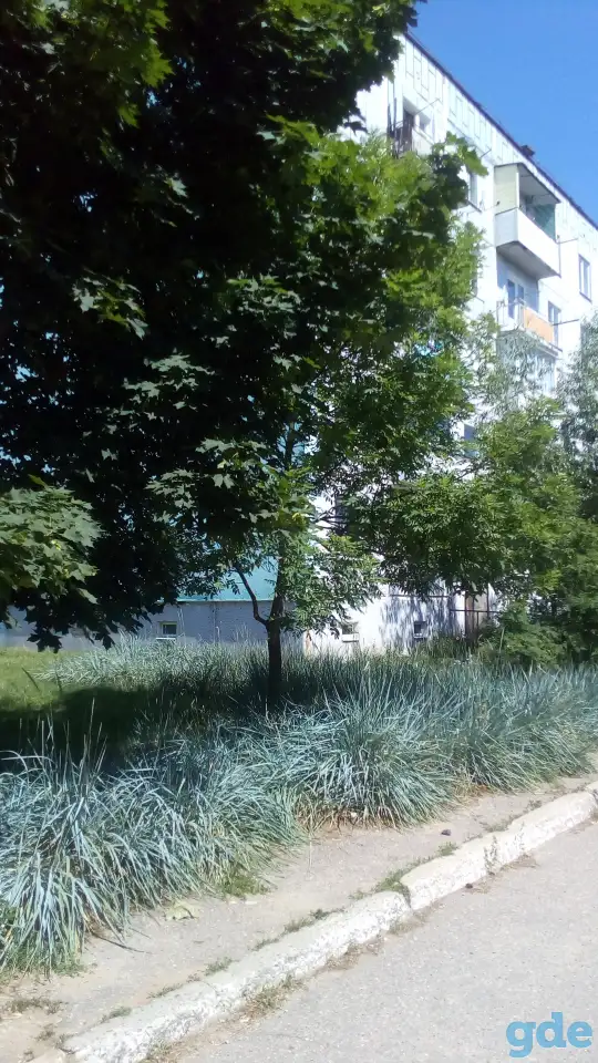 Квартира в санаторно-курортной зоне Лепельского района, фотография 12