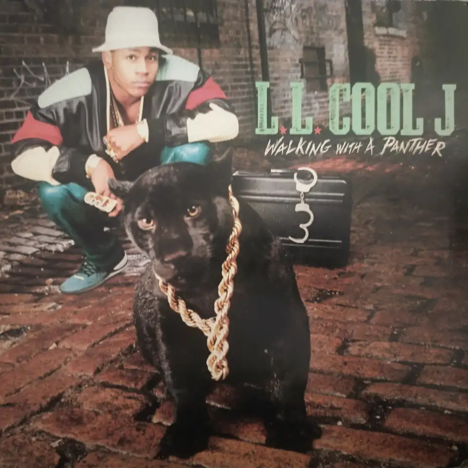 Виниловые пластинки Hip Hop, фотография 3