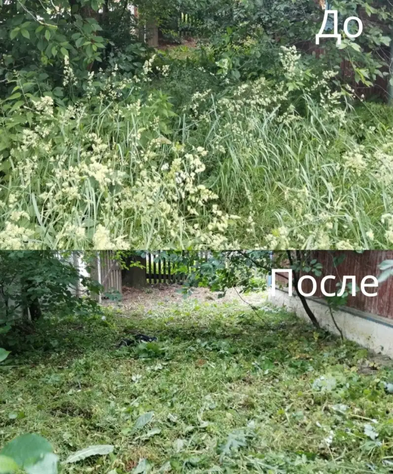 Покос травы/бурьяна/кустов Волковыск и пригород, фотография 4