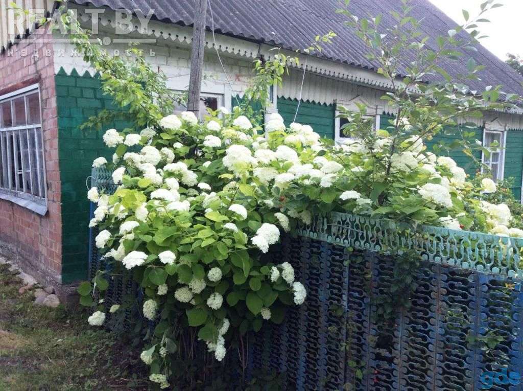 Продается дом, участок, фотография 5