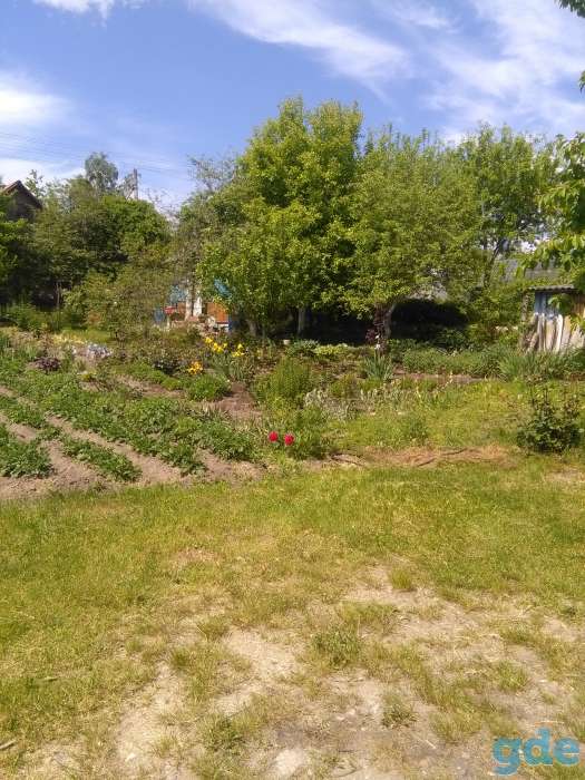 продам дачу, фотография 8