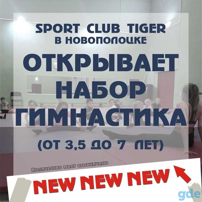 Приглашаем на занятия таэквондо и гимнастикой!, фотография 2