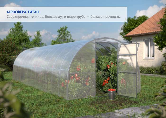 Теплица сибирская 