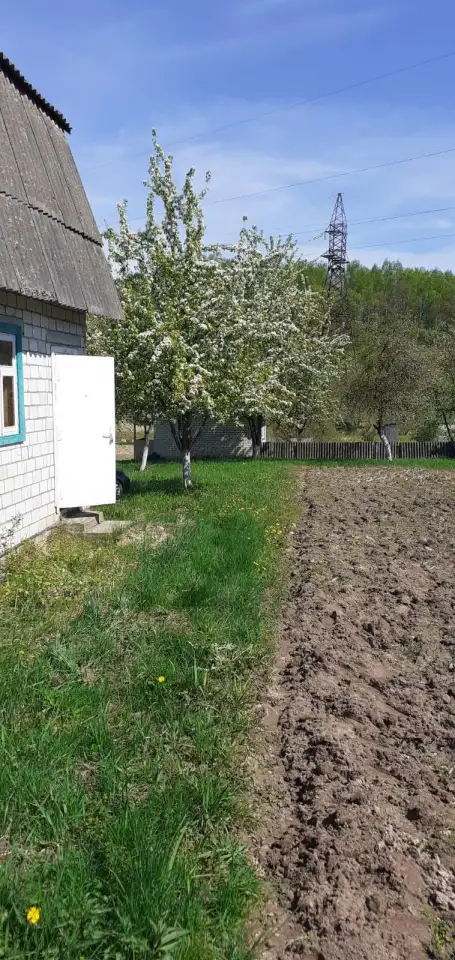 Дача в добрые руки, Ивановская роща, за ж/д путями., фотография 1