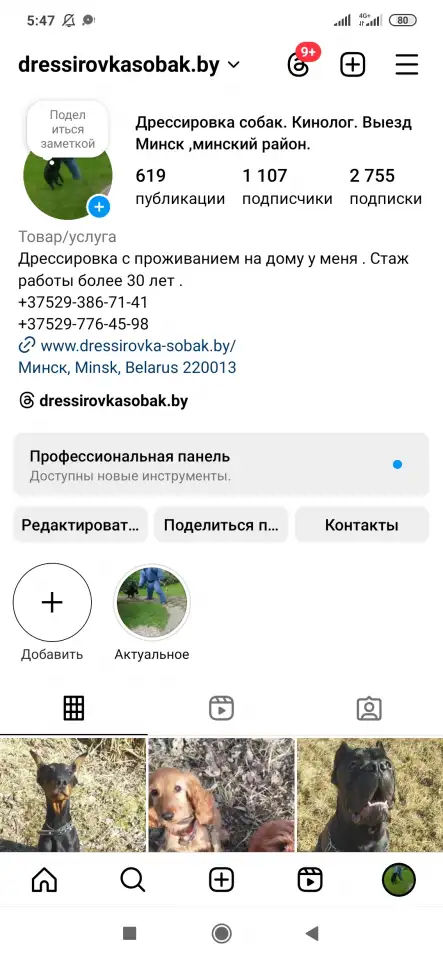 Дрессировка собак больших и маленьких ОКД, фотография 1