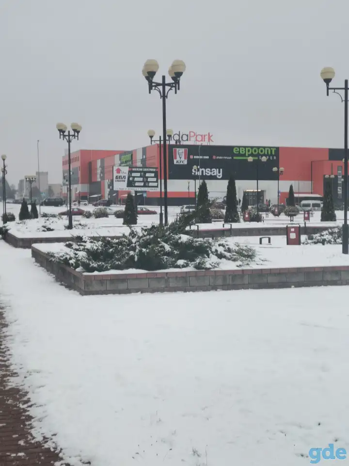 Мастер парикмахер., фотография 7
