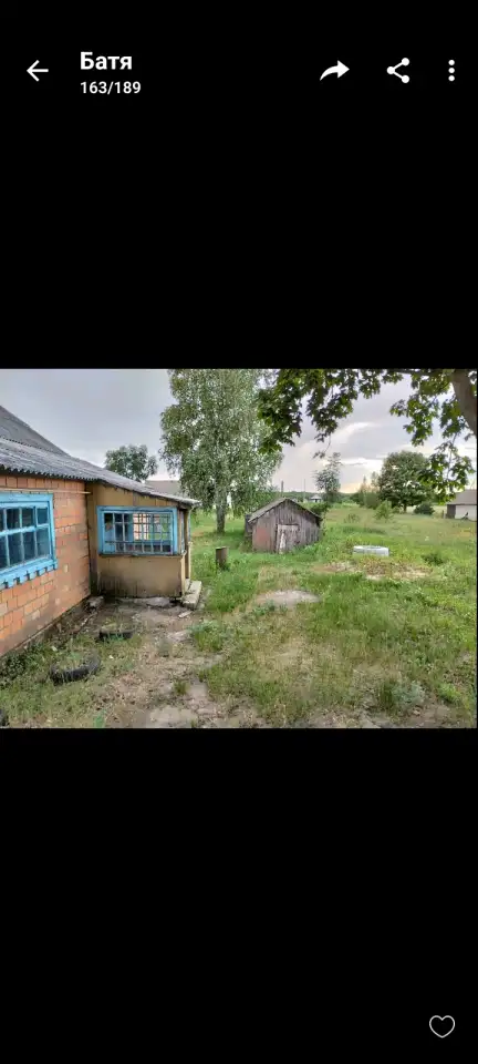Продается два дома, Брестская область, район, Красная Воля, фотография 8