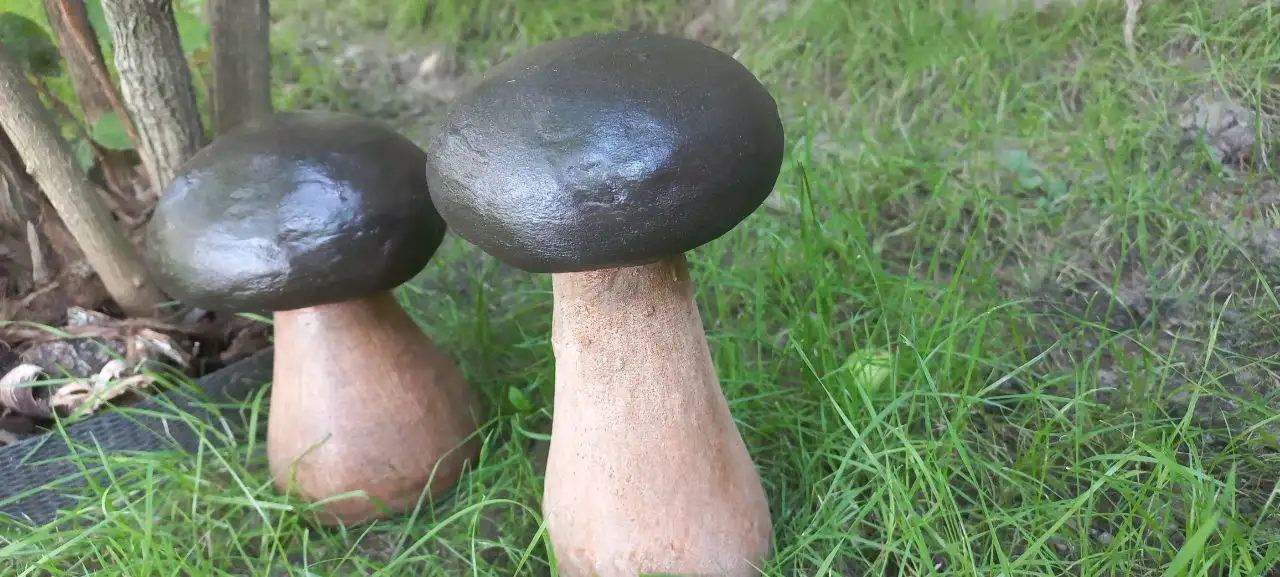 садовая фигурка грибок, фотография 7