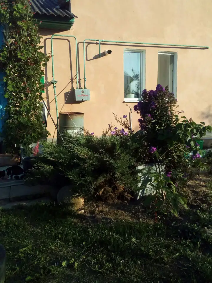 Продается дом в живописном месте 40км.Могилева, в доме все коммуникации, заезжай и живи., фотография 3