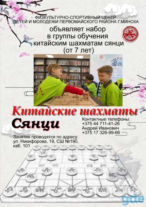 Обучение детей китайским шахматам. Набор в группы обучения детей от 6 лет, фотография 1
